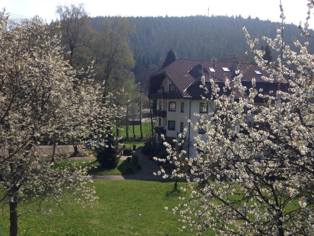 Enz Residenz Hotel Enzklösterle Eksteriør billede